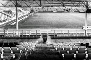 Den bosuil door JoostVH Photography - RAFC - Antwerp FC