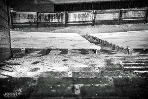 Den bosuil door JoostVH Photography - RAFC - Antwerp FC
