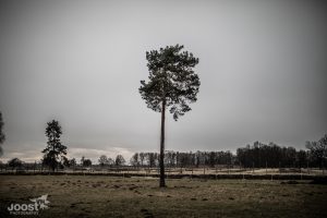 Auschwitz - Oswiecim - JoostVH Photography - concentrationcamp