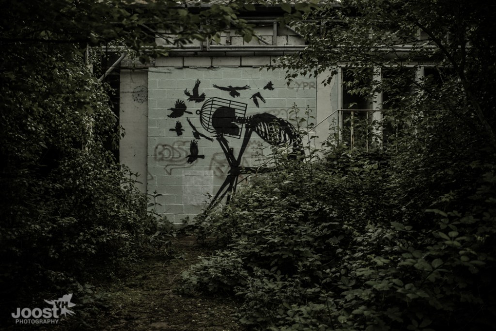 Skeleton Factory by © JoostVH Photography