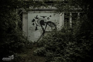 Skeleton Factory by © JoostVH Photography